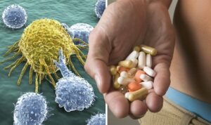 Hvad er de bedste kosttilskud til dit immunsystem?