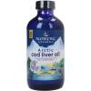 Arctic Cod Liver Oil