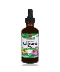 Echinacea Root