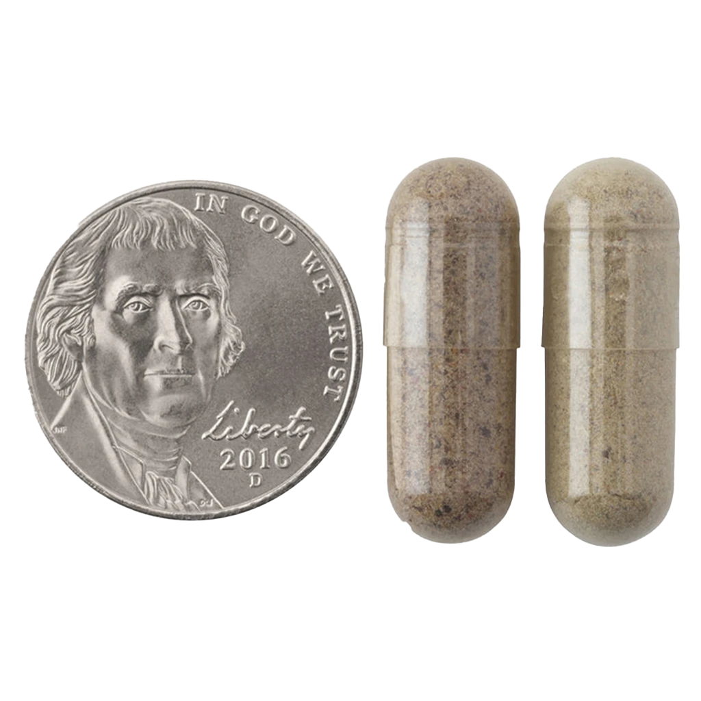 JuiceFestiv – Daily fruits & veggies – 60 + 60 kaps - Image 5