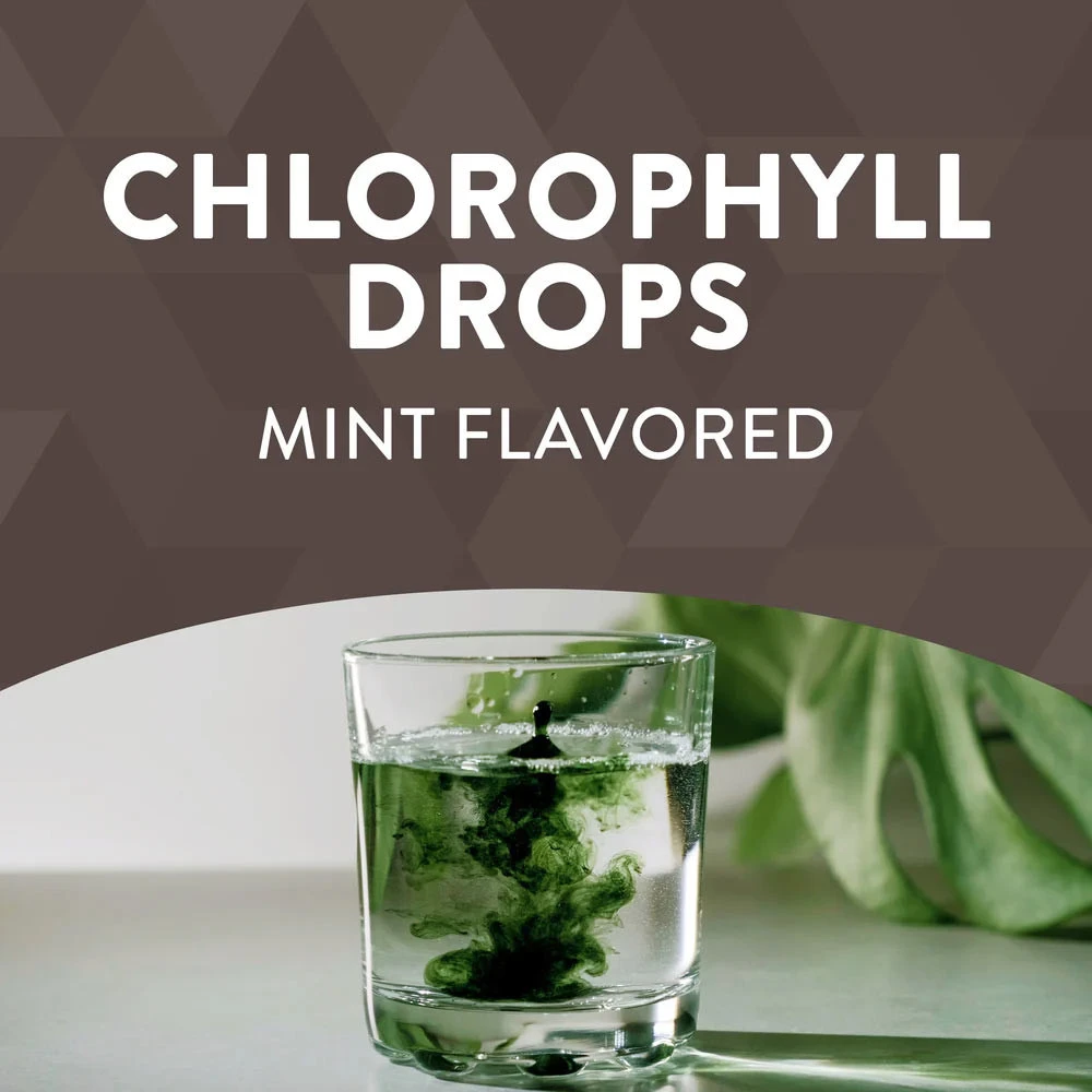 Natures Way – Chlorofresh Klorofyl dråber – 59 ml - Image 11