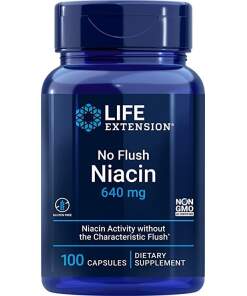 No Flush Niacin - 100 caps
