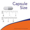 Probiotic-10 – 25 miljard – 30 kapsulas - Image 4